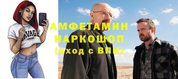 шишки Абинск
