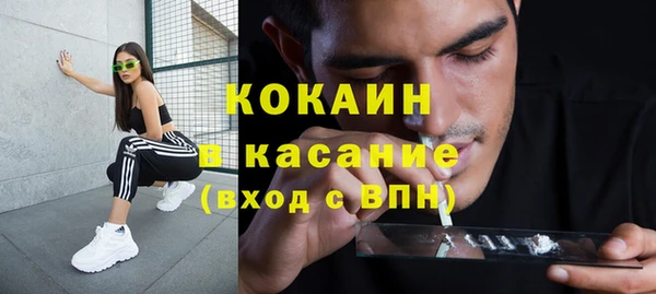 шишки Абинск