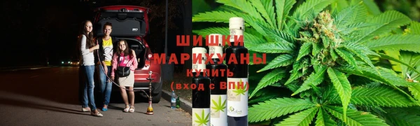 шишки Абинск